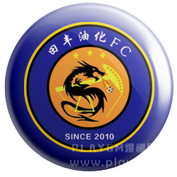 黑龙江田丰油化.png