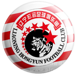 辽宁宏运.png
