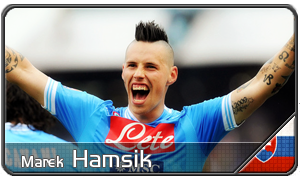 Hamsik.png