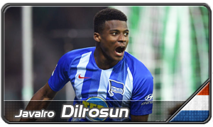 javairo-dilrosun.png
