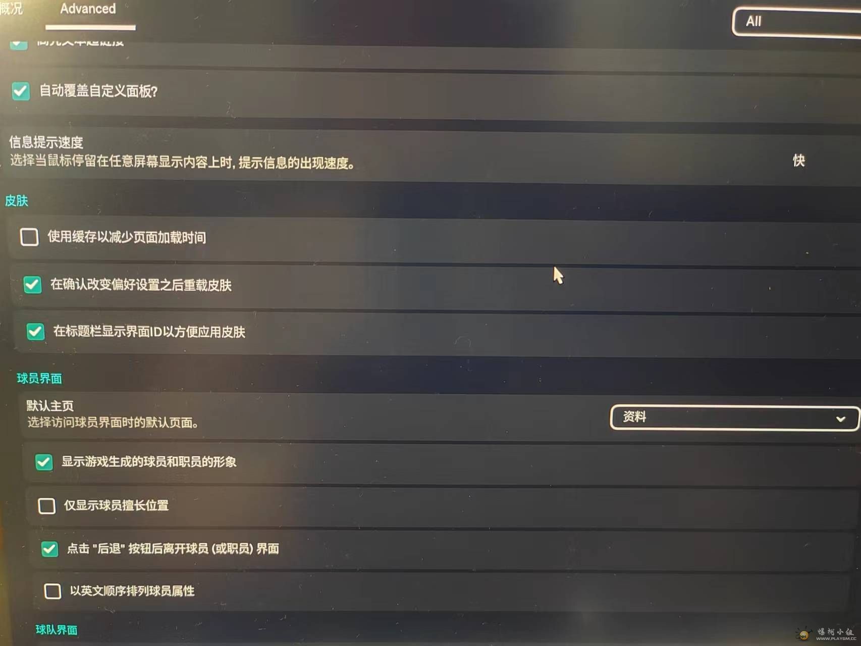 根本没有皮肤选项