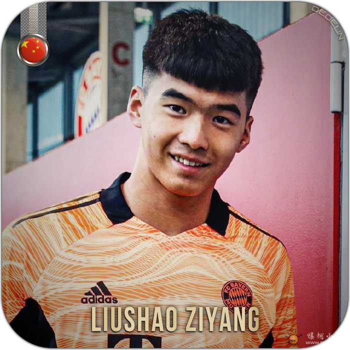 liushaoziyang.png