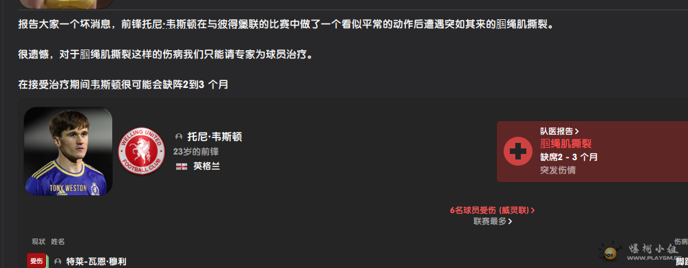 伤病.png