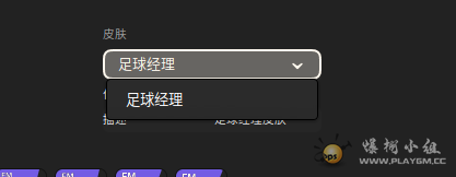 打开游戏后刷新不到皮肤，清除缓存也不行