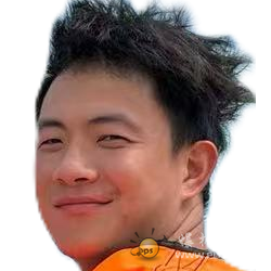 face_34041184.png