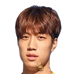 face_23301739.png